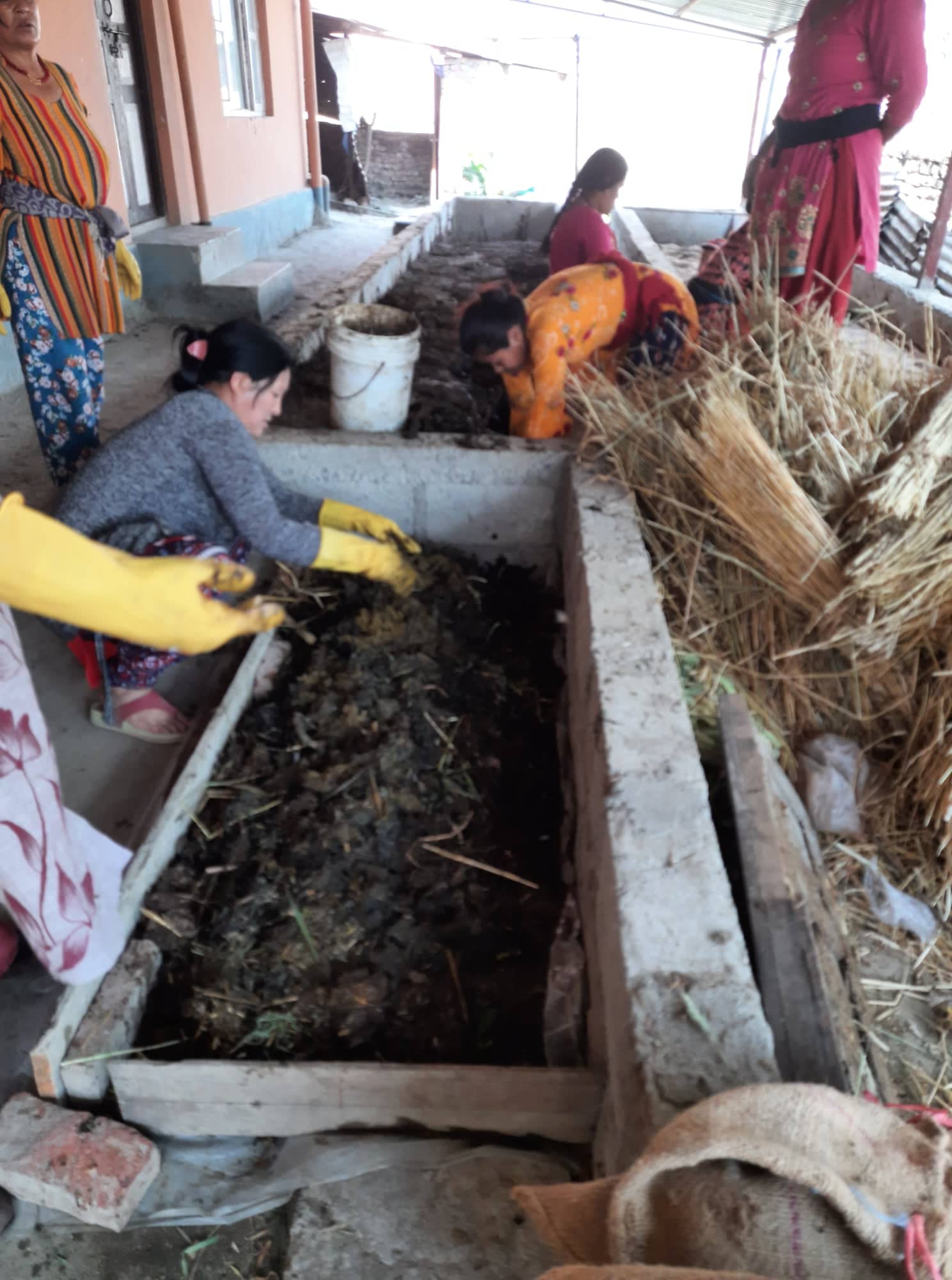 Project 2: Vermi-composting training